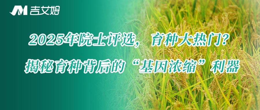 2025年院士评选，育种大热门？—揭秘育种背后的“基因浓缩”利器